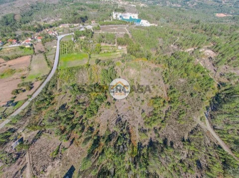 Terreno em Tavares (Chãs, Várzea e Travanca), Mangualde