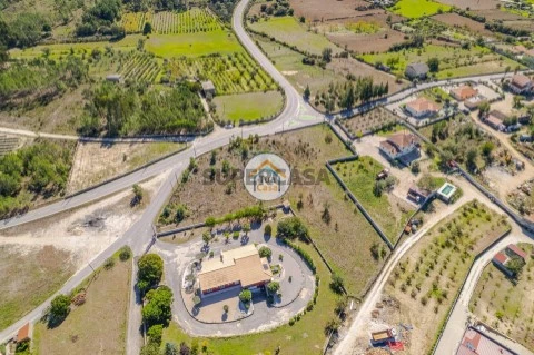 Terreno em Tavares (Chãs, Várzea e Travanca), Mangualde