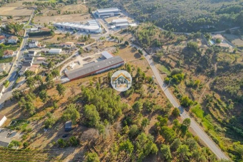 Terreno em Ferreirim e Macieira, Sernancelhe