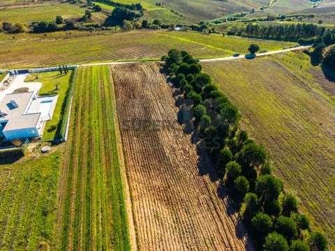 Terreno em Carvalhal, Bombarral