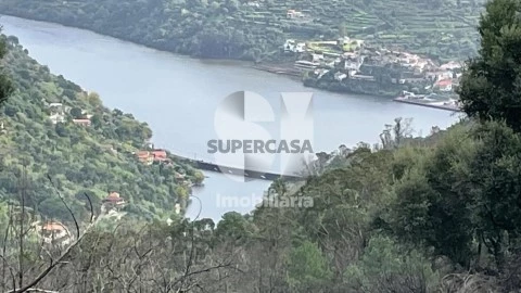 Lote em Gove, Baião