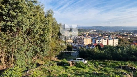 Lote em Baltar, Paredes
