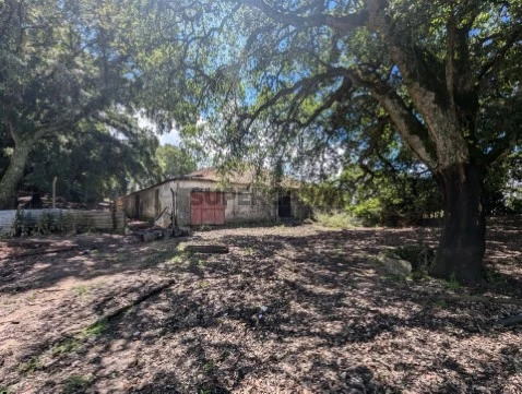 Ferme  au Pedrógão Grande, Pedrógão Grande