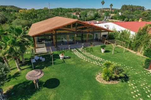 Restaurante em Abrantes (São Vicente e São João) e Alferrarede, Abrantes