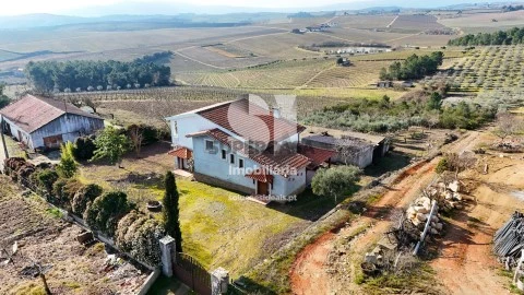 Quintinha em Alijó, Alijó com Vídeo