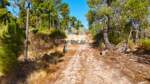 Terreno em Vilar de Maçada, Alijó