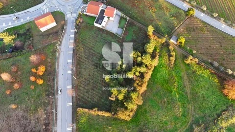 Terreno em Sabrosa, Sabrosa