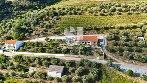 Moradia T3 em Covas do Douro, Sabrosa