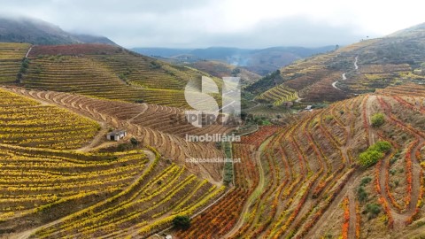 Gründstück Candedo, Murça