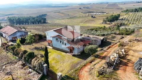 Quinta T3 em Castedo e Cotas, Alijó