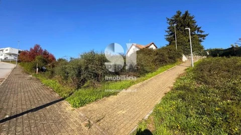 Lote em Sabrosa, Sabrosa