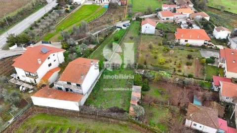 Lote em Paços, Sabrosa