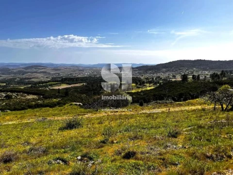 Lote em Alijó, Alijó