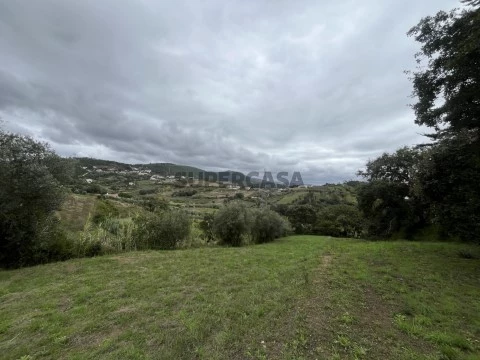 Terreno Famalicão Cortes