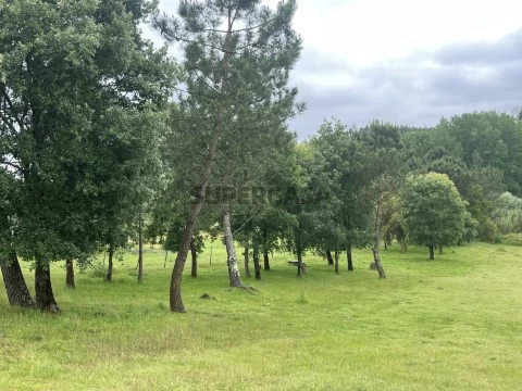 Terreno Mourã, Leiria