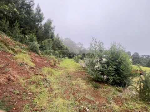 Terreno em Água de Pena, Machico