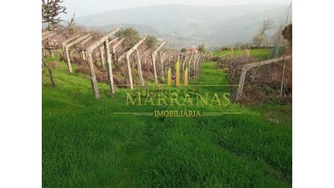 Terreno em Valadares, Baião
