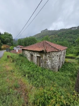 (1)