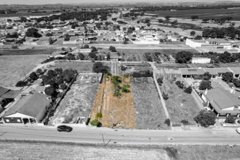 Terreno Urbano em Alpiarça, Alpiarça