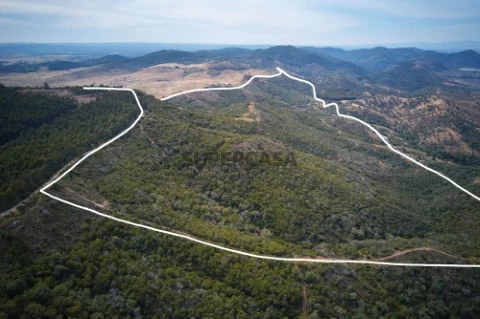 Terreno