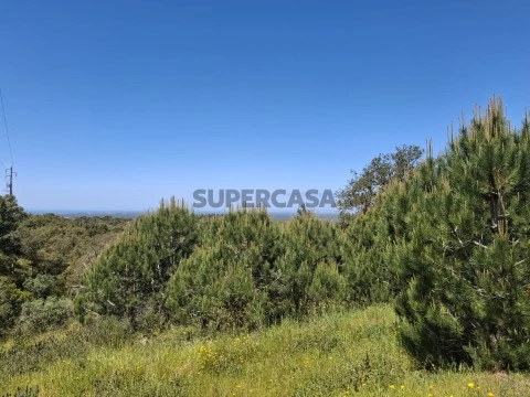 Vista Arrábida