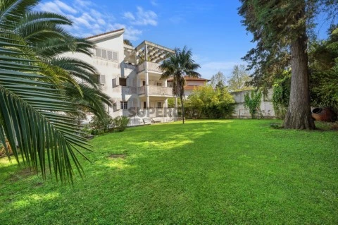 Jardim