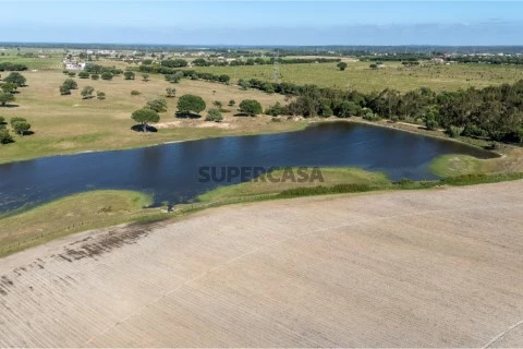 Terreno