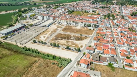 Lote
