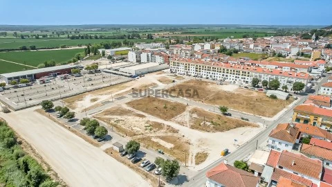 Lote