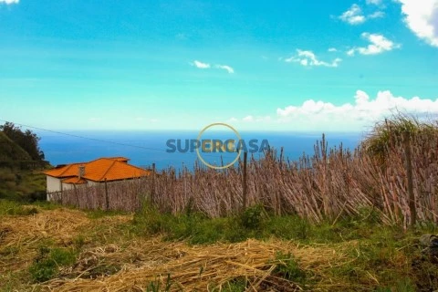 Lote em Canhas, Ponta do Sol