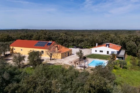 DJI_20260223131825_0503_D