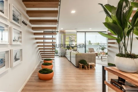 Hall Entrada