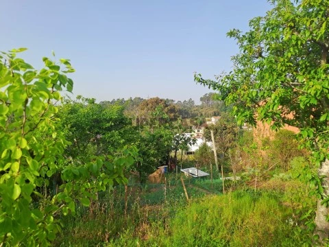 Terreno