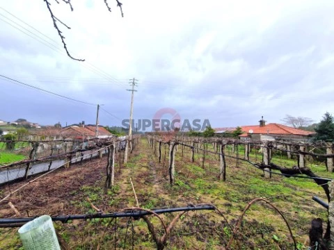 Terreno em Moreira, Monção