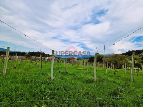 Terreno em Messegães, Valadares e Sá, Monção