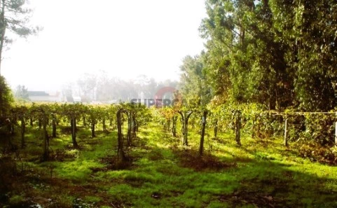Terreno em Prado e Remoães, Melgaço