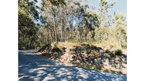 Terreno em Valbom (São Pedro), Passô e Valbom (São Martinho), Vila Verde