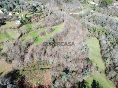 DJI_0156