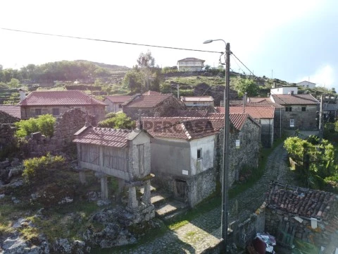 DJI_0660