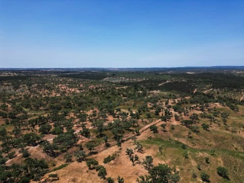DJI_0126