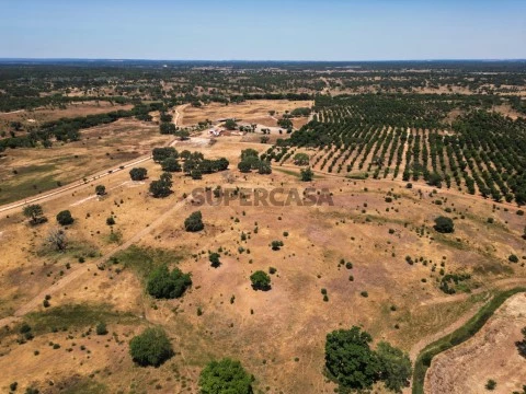 DJI_0145