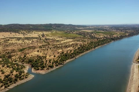 527 hectares farm in Alentejo-40