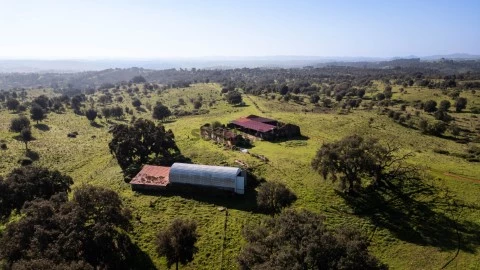 DJI_0162