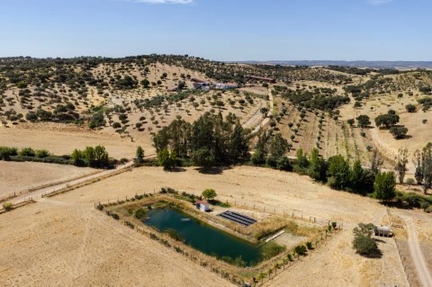 62HectaresFarmInEvora-35