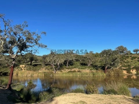 W4872 - Herdade com 215 ha em Vila Nova de Milfontes | Wallis Real Estate