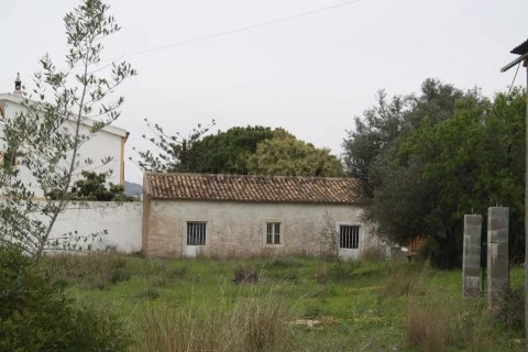 Terreno com Ruina em Falfosa, Santa Barbara de Nexe