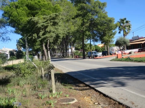 Terreno Semino