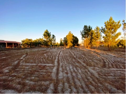 Terreno