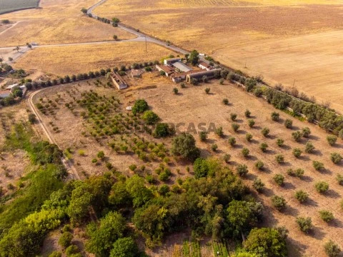 Terreno Urbano | Beja | PIP aprovado | Loteamento | Rustiévora | Venda