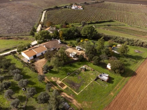 Quinta | Borba | Moradia T3 | Armazém | Vinha | Rustiévora | Venda